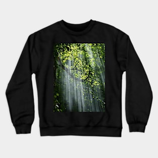 Deep forest with green leaves Crewneck Sweatshirt